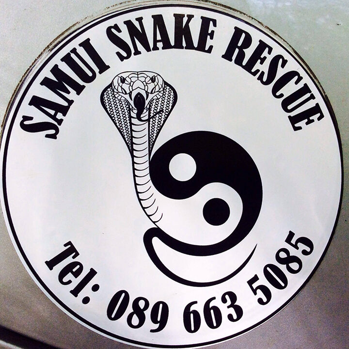 Samui Snake Rescue