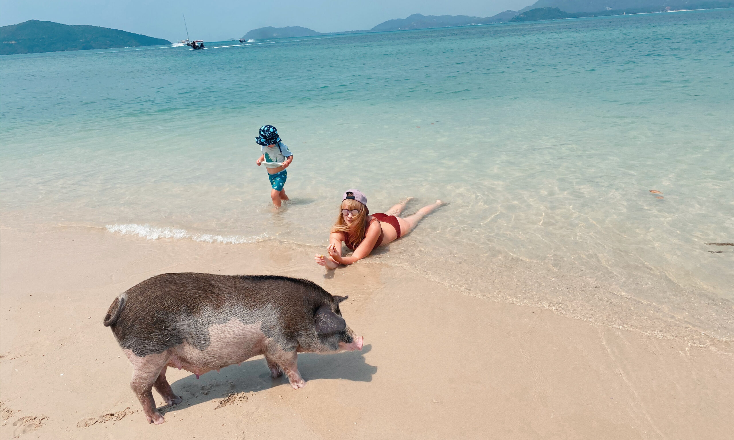 pig island tour thailand