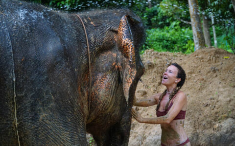 Elephant Sanctuary – Feed & Shower and Mud Spa